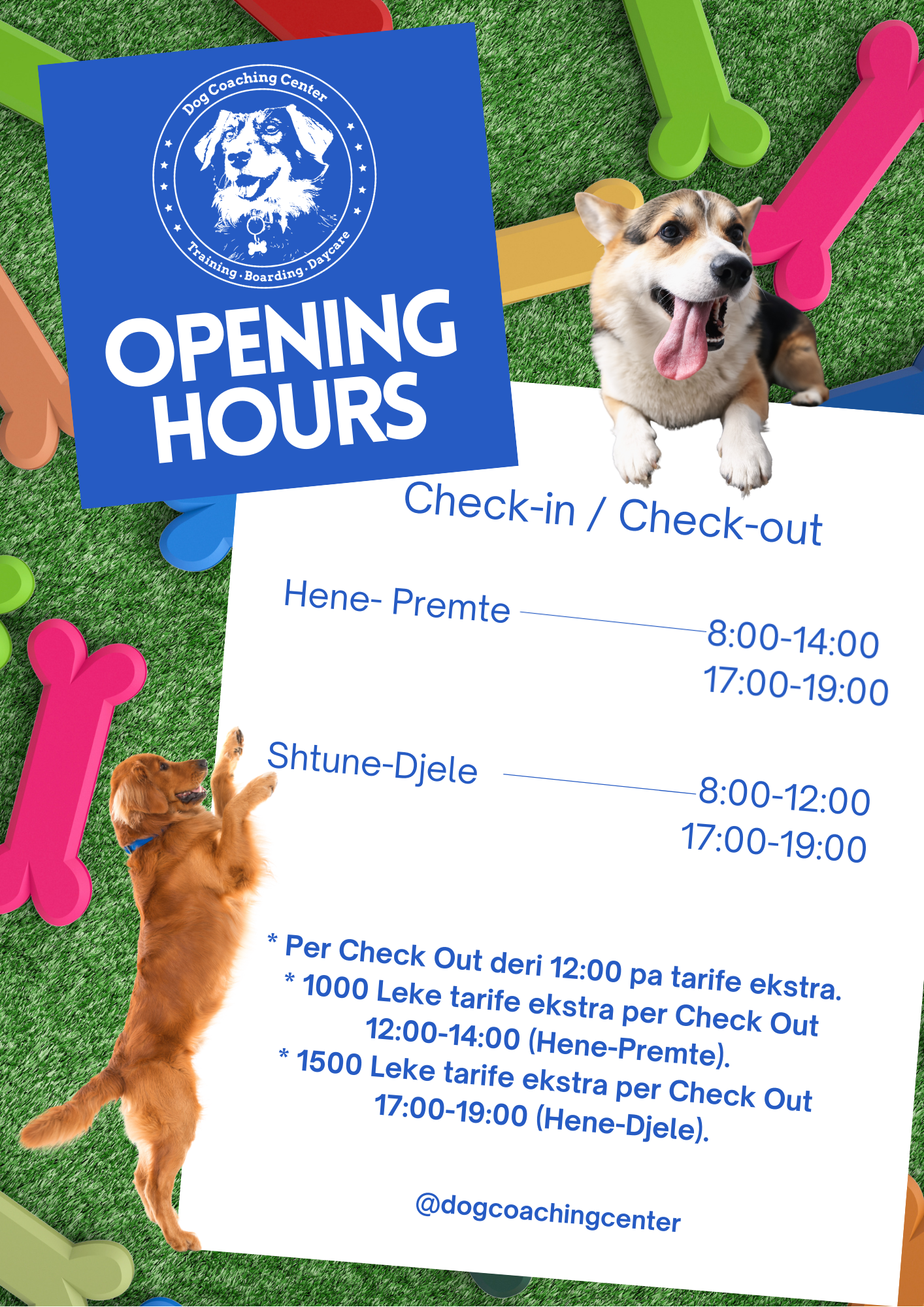 Blue White Bold Illustrative Cafe Opening Hours Poster